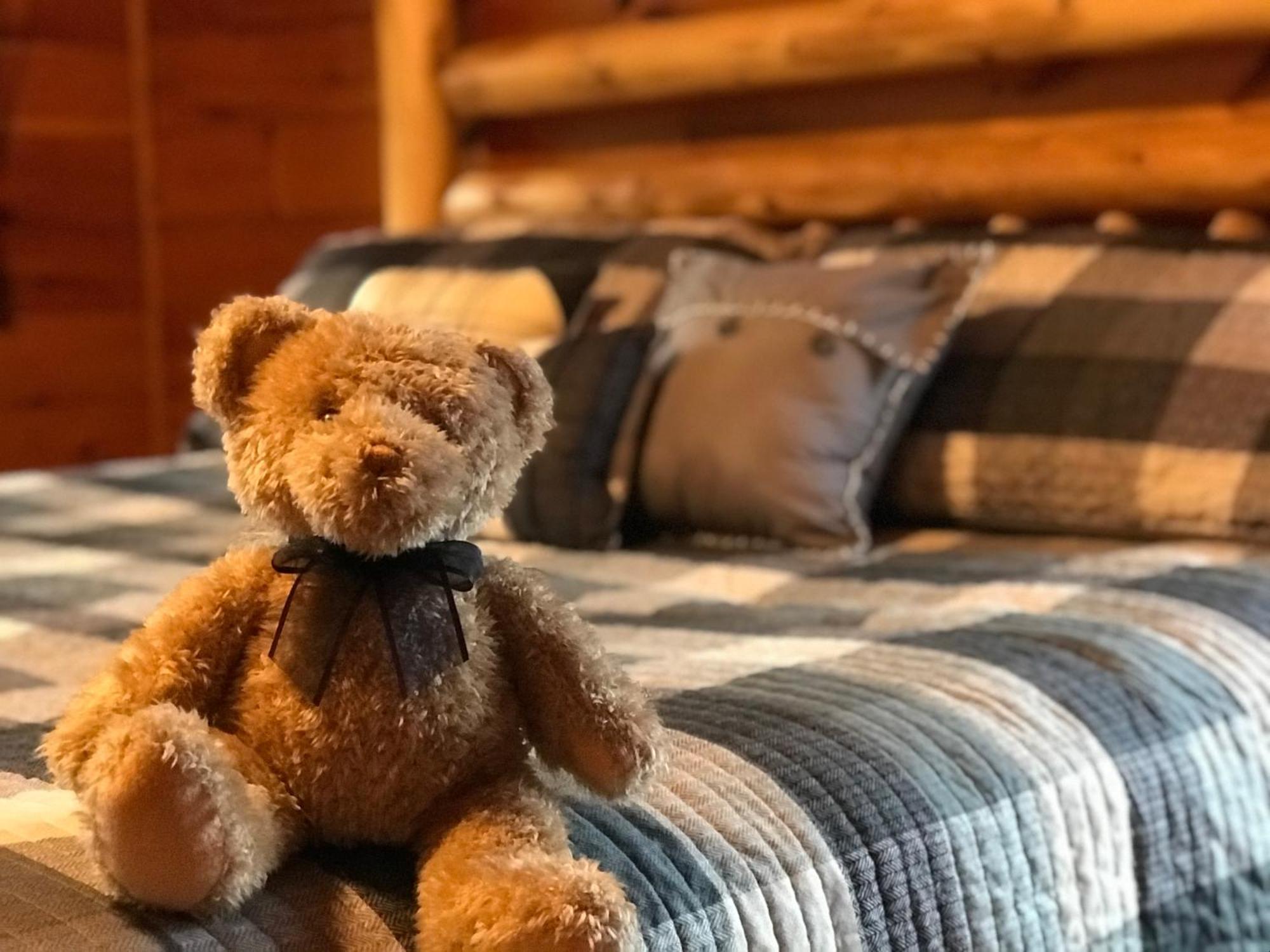 Black Bear Cove 개틀린버그 외부 사진